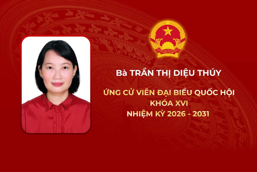 Thông tin các ứng cử viên Đại biểu Quốc hội Khóa XVI - Đơn vị bầu cử số 10 - Ảnh 5.