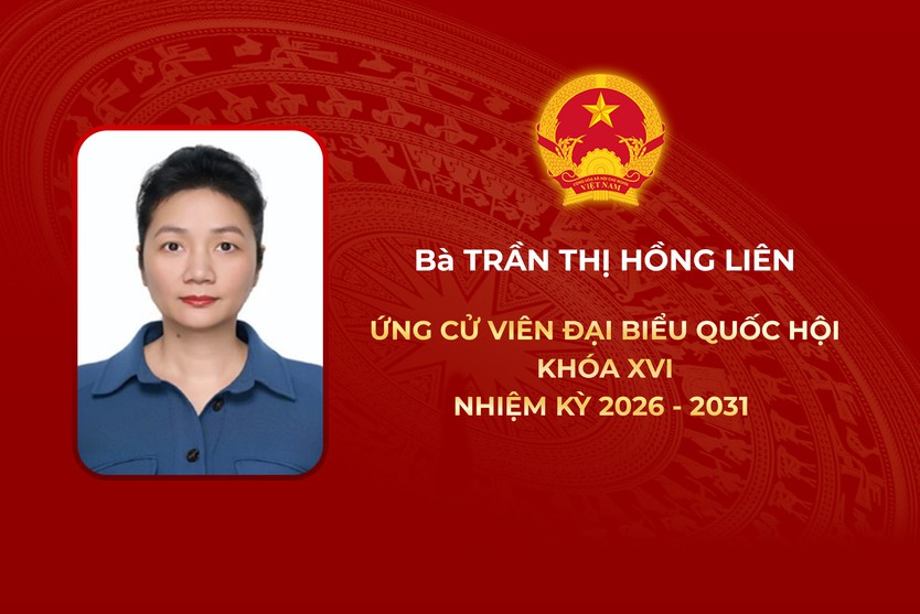 Thông tin các ứng cử viên Đại biểu Quốc hội Khóa XVI - Đơn vị bầu cử số 11 - Ảnh 2.