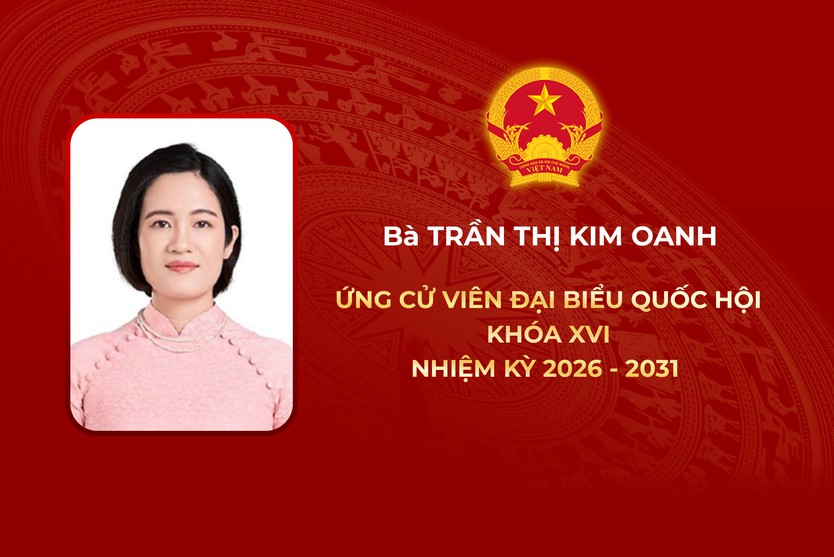 Thông tin các ứng cử viên Đại biểu Hội Quốc hội Khóa XVI - Đơn vị bầu cử số 7 - Ảnh 5.