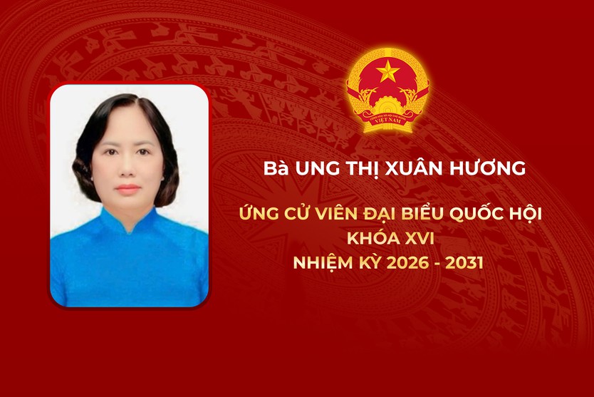 Thông tin các ứng cử viên Đại biểu Hội Quốc hội Khóa XVI - Đơn vị bầu cử số 7 - Ảnh 3.
