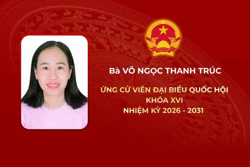 Thông tin các ứng cử viên Đại biểu Quốc hội Khóa XVI - Đơn vị bầu cử số 5 - Ảnh 4.
