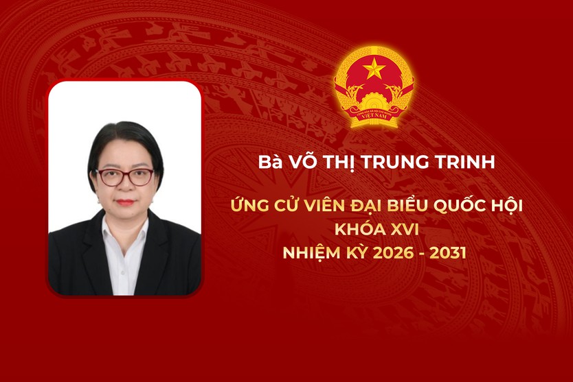 Thông tin các ứng cử viên Đại biểu Quốc hội Khóa XVI - Đơn vị bầu cử số 11 - Ảnh 6.