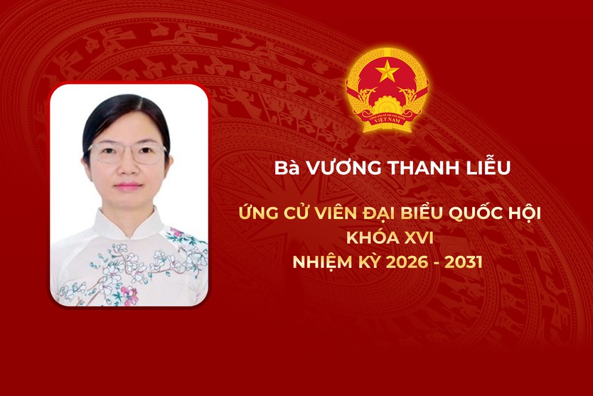 Thông tin các ứng cử viên Đại biểu Quốc hội Khóa XVI - Đơn vị bầu cử số 6 - Ảnh 3.