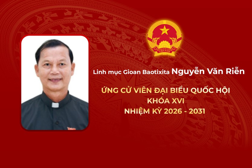 Thông tin các ứng cử viên Đại biểu Quốc hội Khóa XVI - Đơn vị bầu cử số 2 - Ảnh 4.