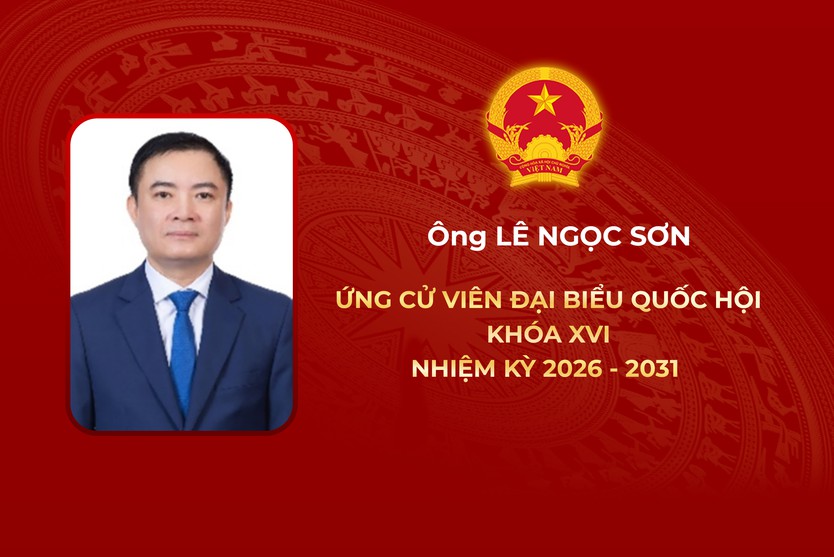 Thông tin các ứng cử viên Đại biểu Quốc hội Khóa XVI - Đơn vị bầu cử số 4 - Ảnh 4.