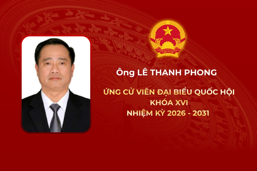 Thông tin các ứng cử viên Đại biểu Quốc hội Khóa XVI - Đơn vị bầu cử số 8 - Ảnh 5.
