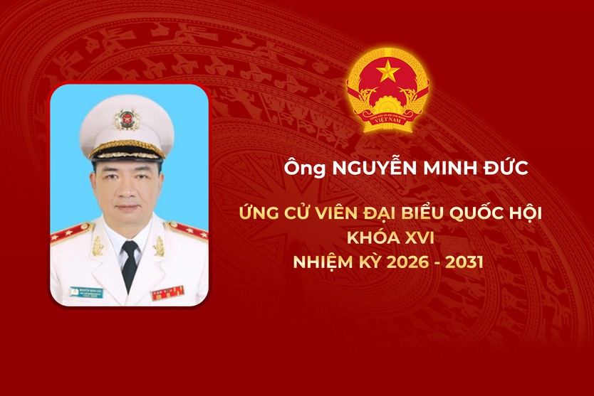 Thông tin các ứng cử viên Đại biểu Quốc hội Khóa XVI - Đơn vị bầu cử số 8 - Ảnh 2.