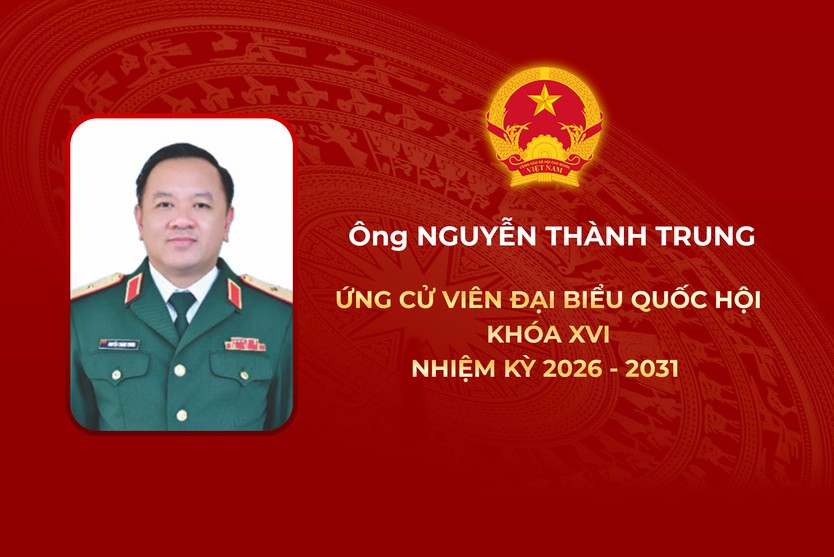 Thông tin các ứng cử viên Đại biểu Quốc hội Khóa XVI - Đơn vị bầu cử số 4 - Ảnh 6.