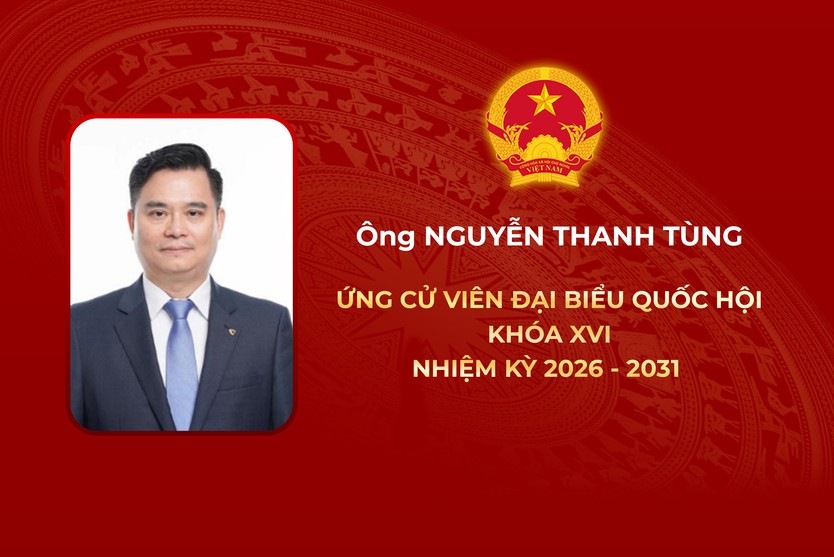 Thông tin các ứng cử viên Đại biểu Quốc hội Khóa XVI - Đơn vị bầu cử số 12 - Ảnh 6.