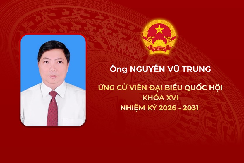 Thông tin các ứng cử viên Đại biểu Quốc hội Khóa XVI - Đơn vị bầu cử số 6 - Ảnh 6.