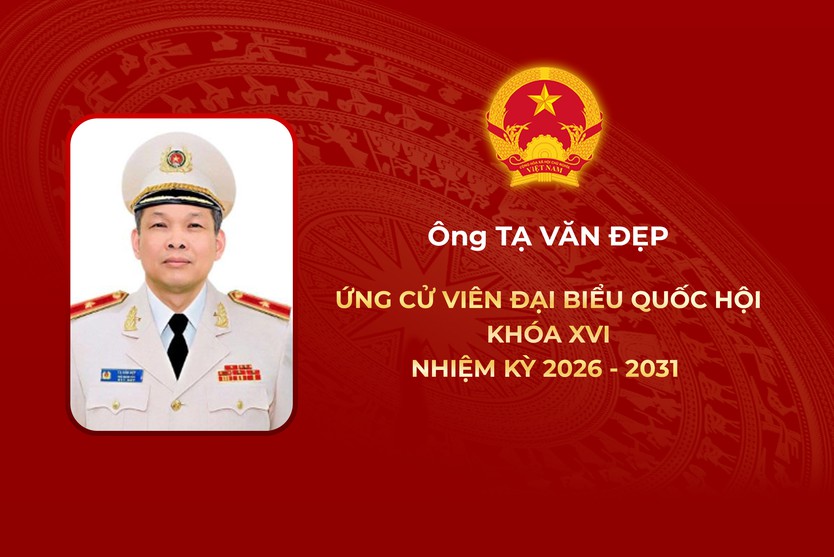 Thông tin các ứng cử viên Đại biểu Quốc hội Khóa XVI - Đơn vị bầu cử số 3 - Ảnh 3.