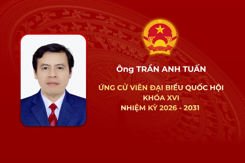Thông tin các ứng cử viên Đại biểu Hội Quốc hội Khóa XVI - Đơn vị bầu cử số 7 - Ảnh 6.