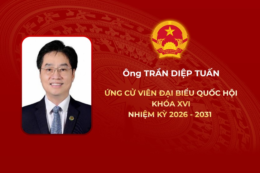 Thông tin các ứng cử viên Đại biểu Quốc hội Khóa XVI - Đơn vị bầu cử số 10 - Ảnh 6.