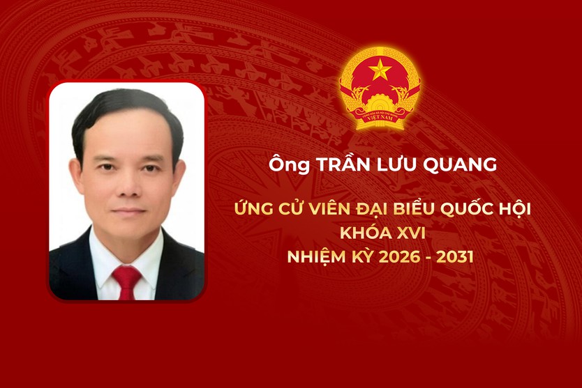 Thông tin các ứng cử viên Đại biểu Quốc hội Khóa XVI - Đơn vị bầu cử số 6 - Ảnh 4.
