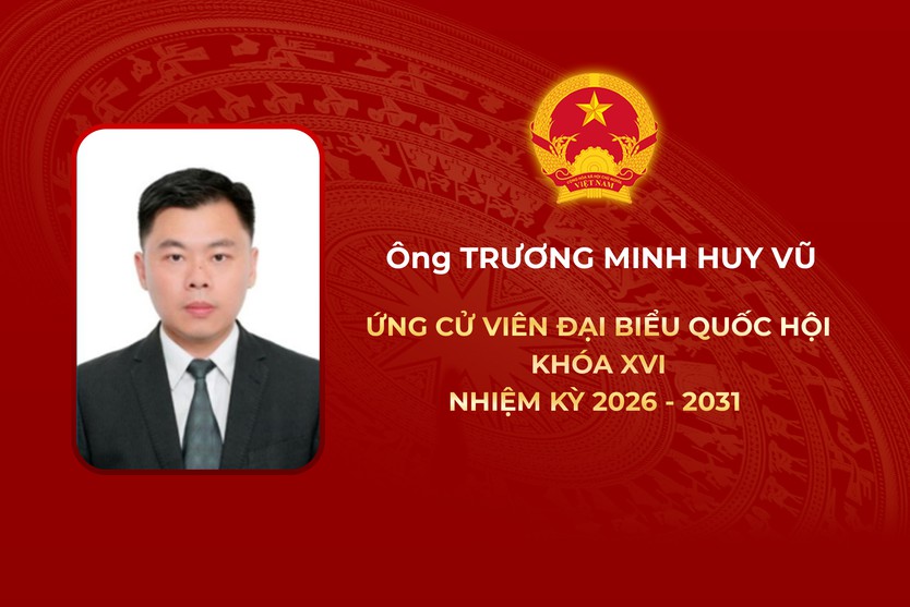 Thông tin các ứng cử viên Đại biểu Quốc hội Khóa XVI - Đơn vị bầu cử số 8 - Ảnh 6.