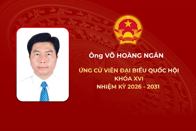Thông tin các ứng cử viên Đại biểu Quốc hội Khóa XVI - Đơn vị bầu cử số 11 - Ảnh 4.
