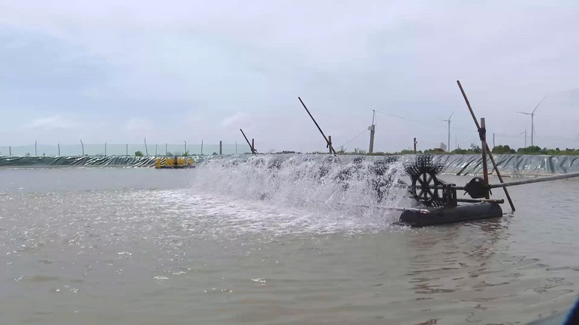 60 Giây ngày 1/4/2026 | Thành phố Hồ Chí Minh thí điểm chuyển 20 ha đất nông nghiệp thành nhà ở thương mại - Ảnh 3.