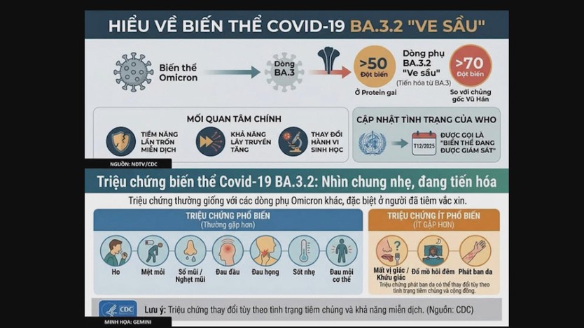 Người dân không hoang mang, không chủ quan trước biến thể Covid-19 “Ve sầu” - Ảnh 2.