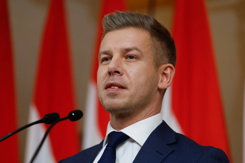 Kết quả sơ bộ cuộc bầu cử Hungary - Ảnh 2.