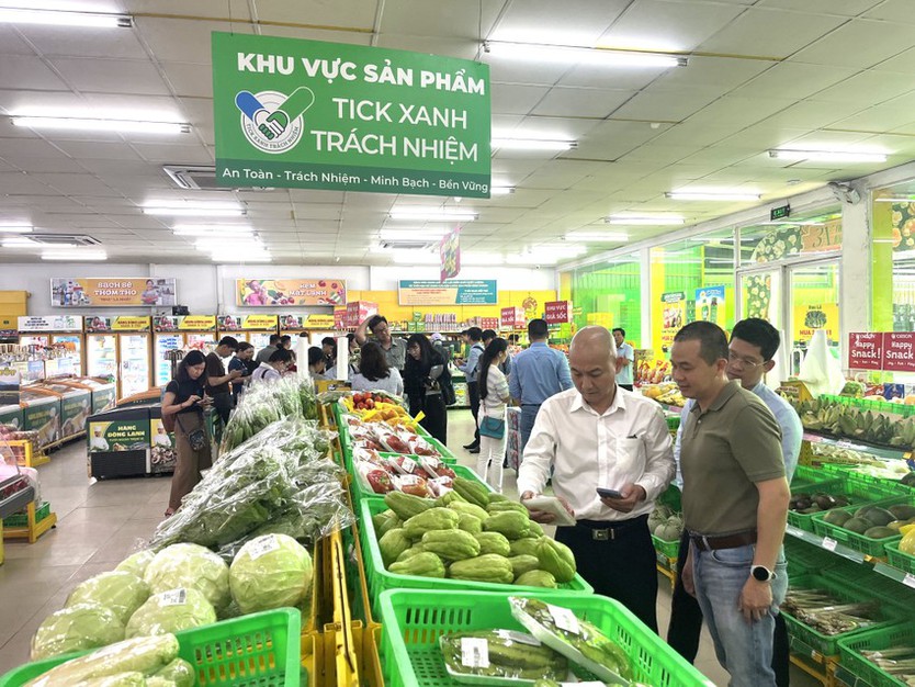 TP. Hồ Chí Minh đẩy nhanh tiến độ Tổng điều tra kinh tế năm 2026 - Ảnh 4.