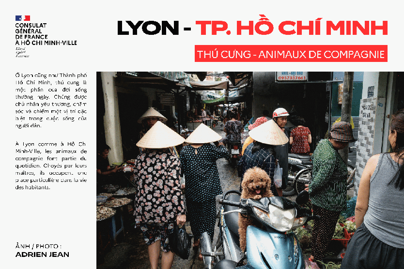 Triển lãm ảnh về 2 thành phố kết nghĩa Lyon - TP HCM - Ảnh 3.