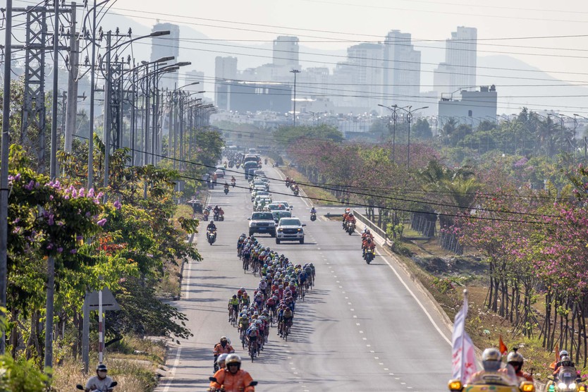 Ảnh đẹp chặng 16: Nha Trang - Lâm Đồng (140 km) - Ảnh 24.