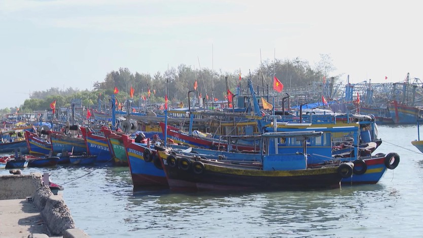 TP. Hồ Chí Minh tiếp tục siết chặt công tác chống khai thác IUU- Ảnh 1.