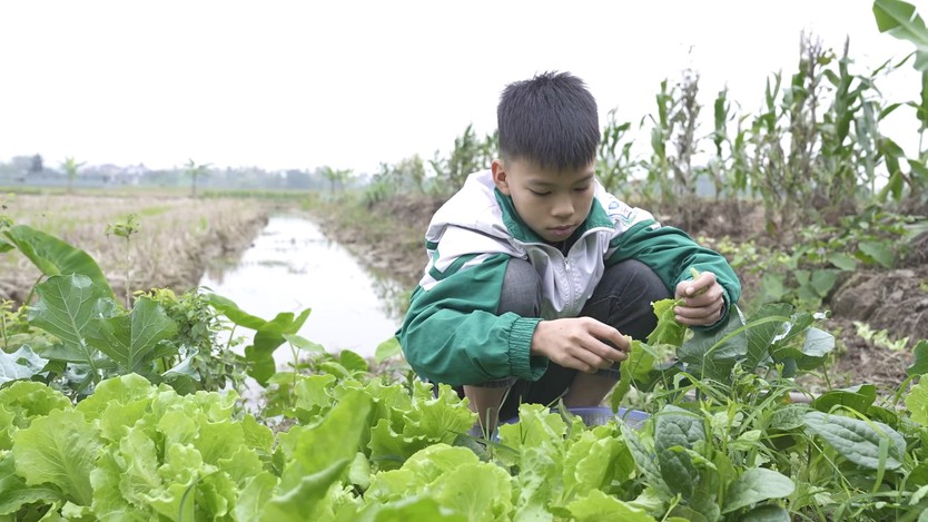 Mái ấm gia đình Việt: Chị em Minh Dương sớm tự lập vì mất cha, mẹ bệnh nặng - Ảnh 1.