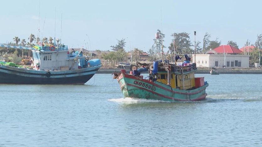 TP. Hồ Chí Minh tiếp tục siết chặt công tác chống khai thác IUU- Ảnh 5.
