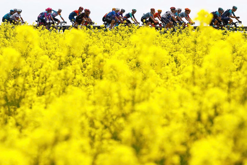 Paul Magnier thắng chặng mở màn Giro d'Italia 2026 trong hỗn loạn- Ảnh 2.