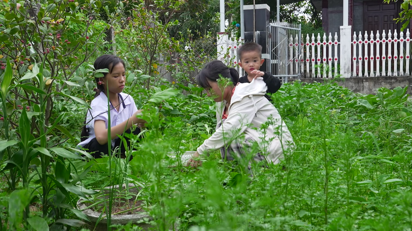 Thảo Nhi mắc bệnh tan máu bẩm sinh, mong hiến tóc cho bệnh nhi ung thư - Ảnh 4.