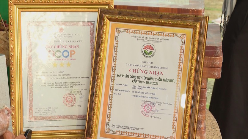 TP. Hồ Chí Minh: Nâng sức bật cho sản phẩm OCOP - Ảnh 1.