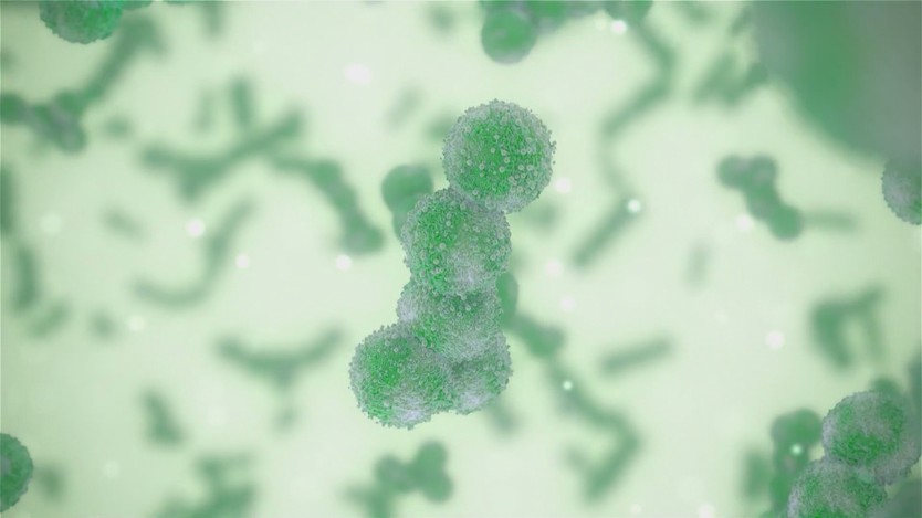Phát triển vaccine đối phó với virus Hanta - Ảnh 1.