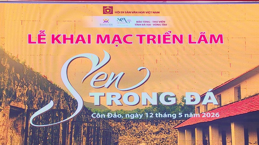 “Sen trong đá” - Khi lịch sử được kể bằng lá sen và nước mắt- Ảnh 1.