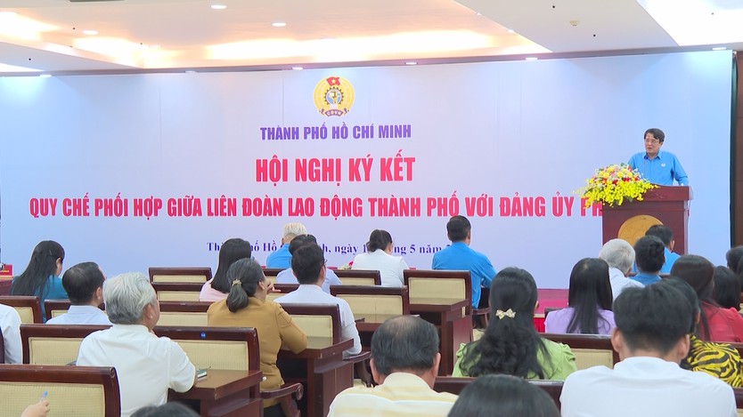 TP. Hồ Chí Minh tăng cường phối hợp chăm lo, bảo vệ quyền lợi người lao động - Ảnh 1.