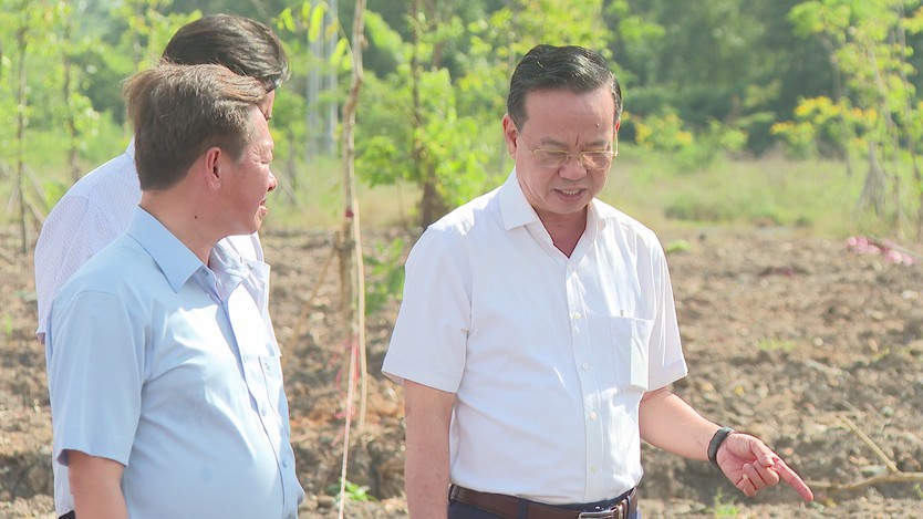 TP. Hồ Chí Minh sẽ trồng thêm 500 cây xanh tại xã Bình Lợi - Ảnh 2.