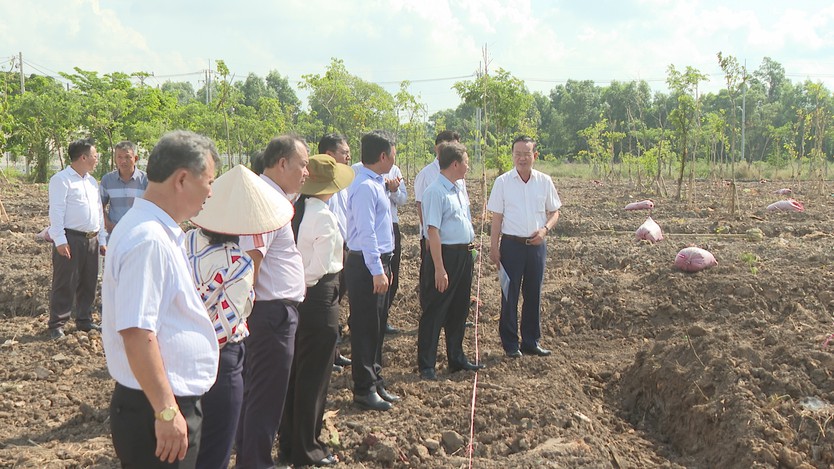 TP. Hồ Chí Minh sẽ trồng thêm 500 cây xanh tại xã Bình Lợi - Ảnh 4.