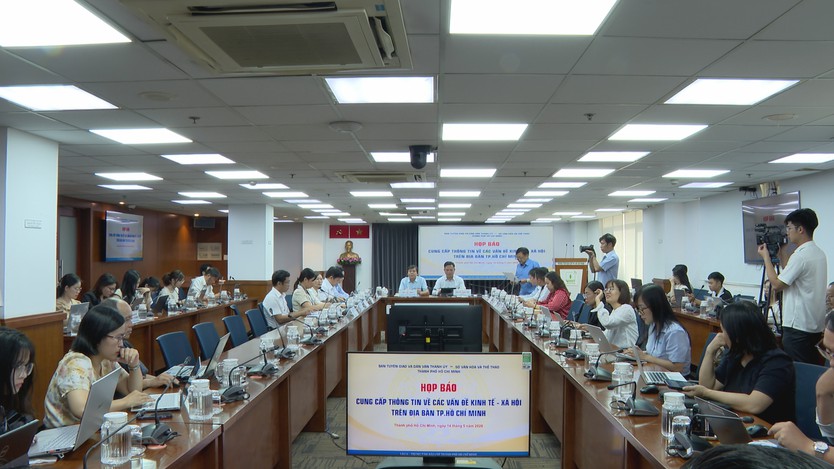 TP. Hồ Chí Minh cảnh báo nguy cơ dịch bệnh mùa hè - Ảnh 1.