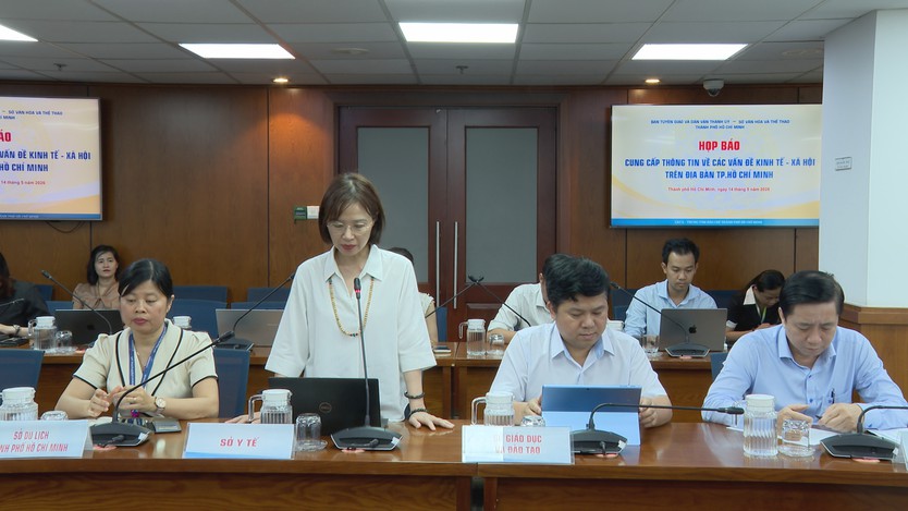 TP. Hồ Chí Minh cảnh báo nguy cơ dịch bệnh mùa hè - Ảnh 3.
