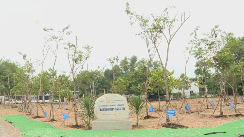Lễ phát động phong trào trồng cây và khánh thành “Vườn cây Hữu nghị”- Ảnh 4.