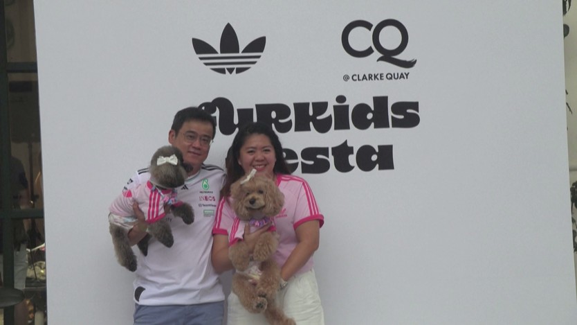 Adidas ra mắt thời trang World Cup dành cho thú cưng- Ảnh 4.