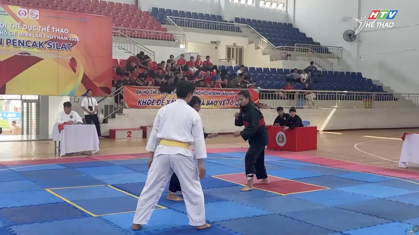 Kết thúc giải Pencat Silat Đại hội TDTT TP. Hồ Chí Minh lần thứ I - Ảnh 3.