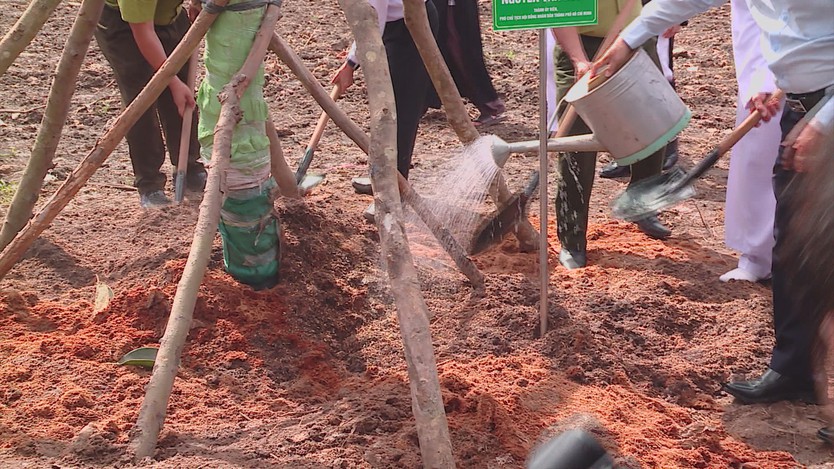 TP. Hồ Chí Minh trồng 503 cây xanh tại Công viên văn hóa Láng Le, lan tỏa phong trào “Thành phố muôn sắc hoa” - Ảnh 3.
