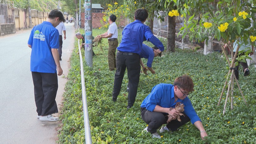 Từ góc phố xanh đến những con đường rực sắc cờ Tổ quốc tại TP. Hồ Chí Minh - Ảnh 3.
