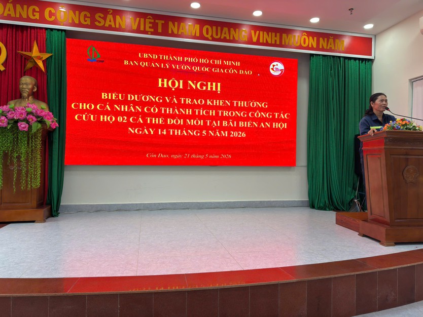 Khen thưởng 3 công nhân vệ sinh môi trường cứu hộ thành công 2 cá thể Đồi mồi tại bãi biển An Hội, TP. Hồ Chí Minh- Ảnh 1.