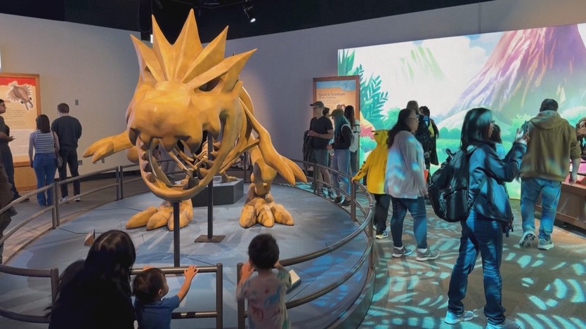 Bảo tàng hóa thạch Pokemon ra mắt lần đầu tiên tại Bắc Mỹ - Ảnh 3.