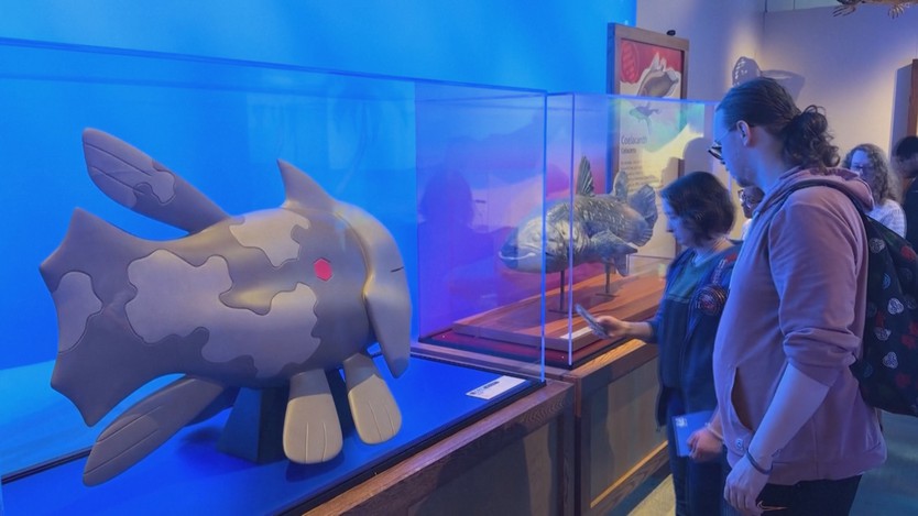 Bảo tàng hóa thạch Pokemon ra mắt lần đầu tiên tại Bắc Mỹ - Ảnh 4.