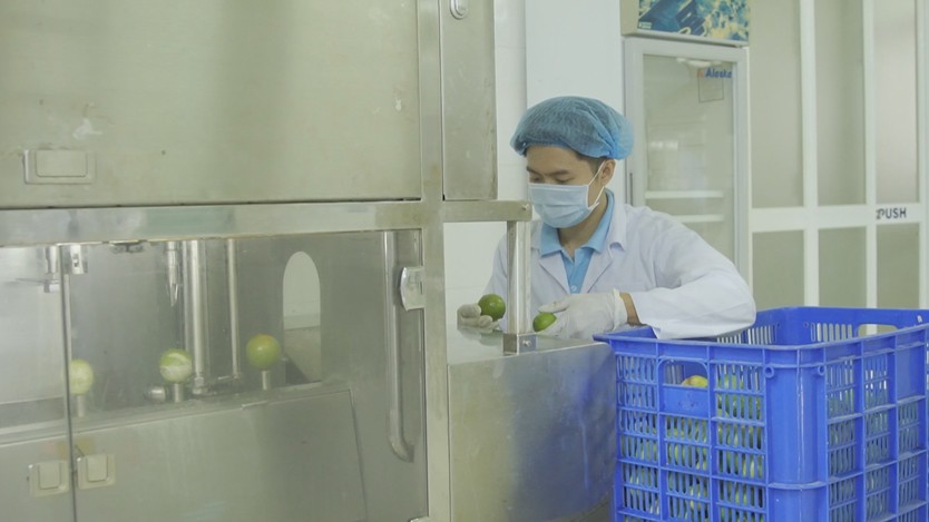 Chanh và bưởi Việt Nam mở rộng thị trường xuất khẩu sang Trung Quốc  - Ảnh 4.