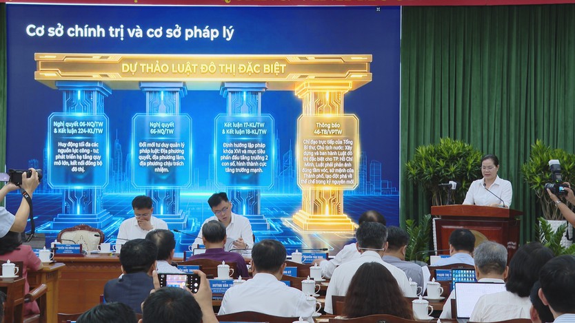 TP. Hồ Chí Minh được phân quyền quản lý đô thị đặc biệt - Ảnh 5.
