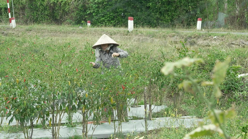 "Mái ấm gia đình Việt" nghẹn ngào trước cậu bé chưa từng biết mặt cha- Ảnh 4.